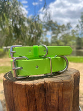 Load image into Gallery viewer, Lime Dog Collar