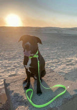 Load image into Gallery viewer, Fluro Green Dog Collar
