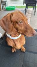 Load image into Gallery viewer, White Dog Collar