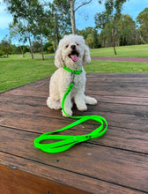 Load image into Gallery viewer, Fluro Green Dog Collar