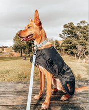 Load image into Gallery viewer, Dog Lead Thick 25mm Wide