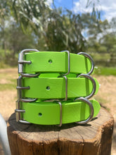 Load image into Gallery viewer, Lime Dog Collar