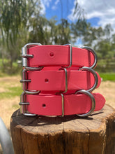 Load image into Gallery viewer, Coral Dog Collar