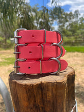 Load image into Gallery viewer, Coral Dog Collar