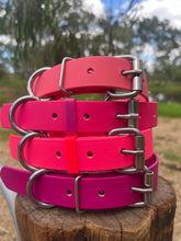 Load image into Gallery viewer, Coral Dog Collar