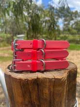 Load image into Gallery viewer, Coral Dog Collar