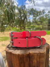 Load image into Gallery viewer, Coral Dog Collar