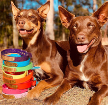 Load image into Gallery viewer, Purple Dog Collar