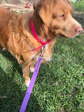 Load image into Gallery viewer, Amethyst Dog Collar