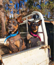 Load image into Gallery viewer, Hot Pink Dog Collar