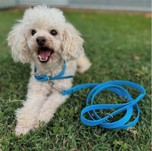 Load image into Gallery viewer, Dog Lead Thin 16mm