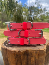 Load image into Gallery viewer, Coral Dog Collar